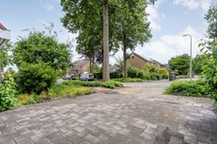 Foto -4.jpg